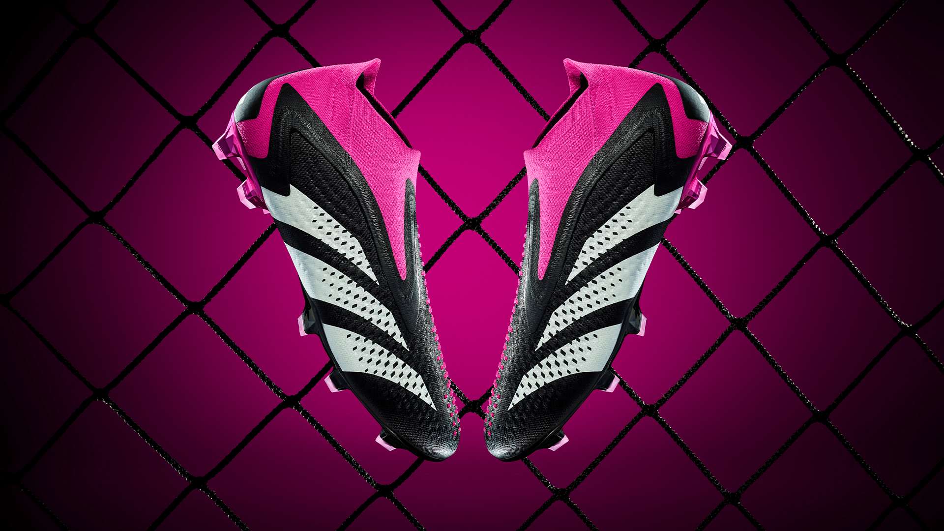 疑是他们首 疑是他们首