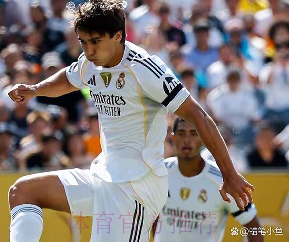 科贝：球迷没要求解雇阿隆索 皇马需要苏维门迪